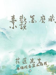 喜欢怎么藏不住小说