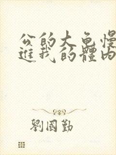 公的大龟慢慢挺进我的体内