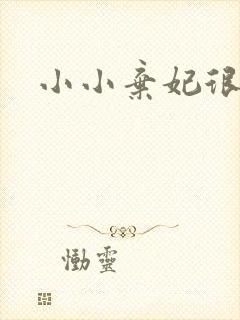 小小弃妃很倾城