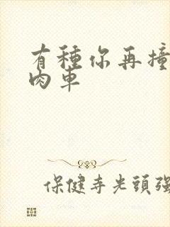 有种你再撞一下肉车