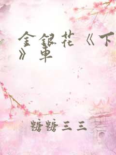 金银花《下厨房》车