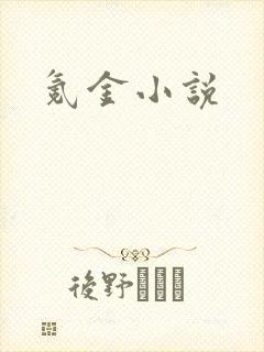 氪金小说