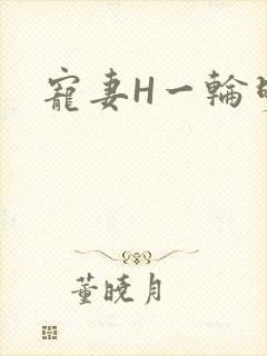 宠妻H一轮明月