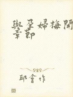 与孕妇梅开三度章节