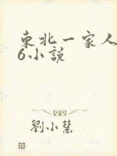 东北一家人1一6小说