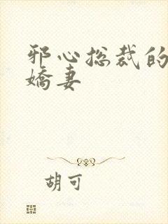 邪心总裁的纯情娇妻