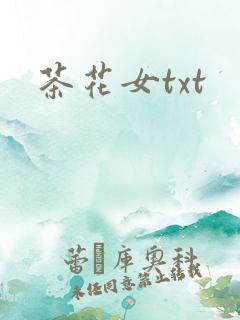茶花女txt