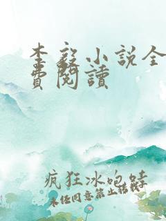 李毅小说全文免费阅读