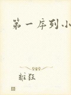 第一序列小说