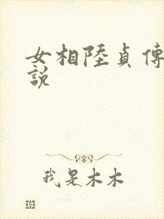 女相陆贞传奇小说