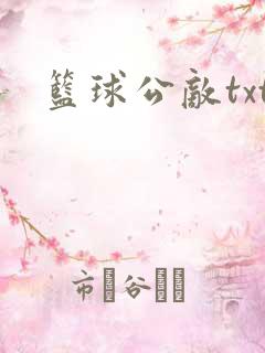 篮球公敌txt