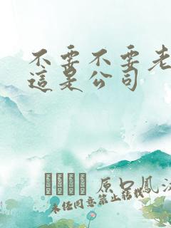 不要不要老板别这是公司