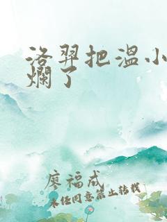 洛羿把温小辉做烂了