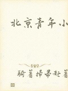 北京青年小说