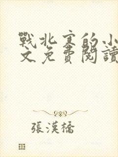 战北寒的小说全文免费阅读无弹窗