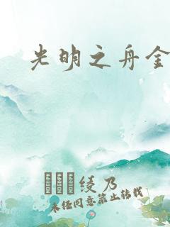 光明之舟金手指