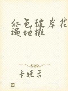 红色彼岸花花瓣遍地撒