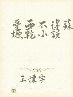 爱而不得苏路顾塬乾小说