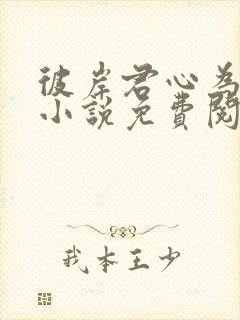 彼岸君心为我倾小说免费阅读