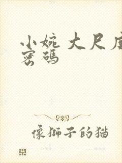 小婉 大尺度 密码