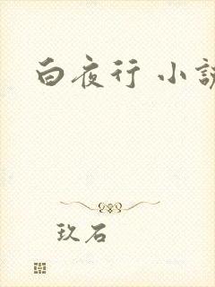 白夜行 小说