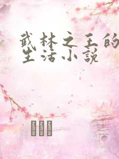 武林之王的退隐生活小说