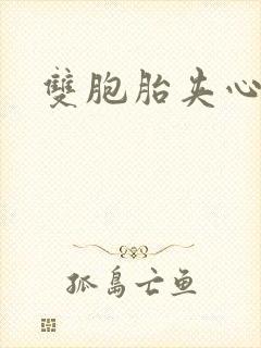 双胞胎夹心运动