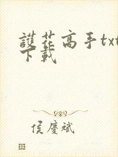 护花高手txt下载