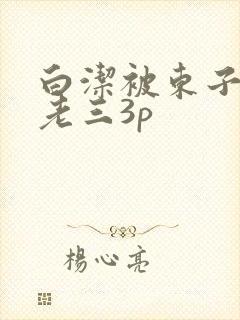 白洁被东子老二老三3p
