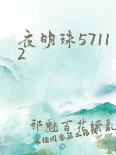 夜明珠57112
