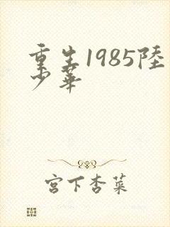 重生1985陆少华