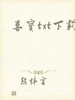 喜宝txt下载