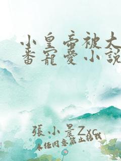 小皇帝被大臣轮番宠爱小说