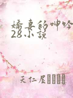 娇妻的呻吟1—28小说