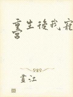 重生后我宠冠东宫