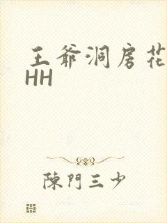 王爷洞房花烛夜HH