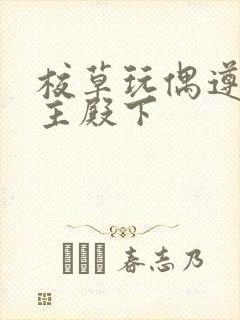 校草玩偶遵命公主殿下