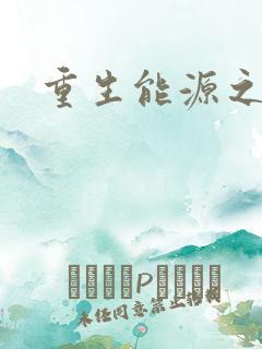 重生能源之王