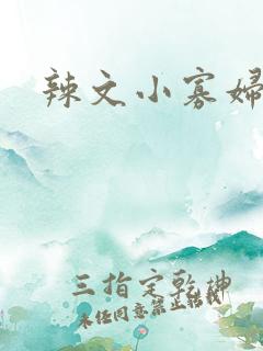 辣文小寡妇
