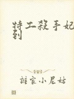 特工杀手妃来驾到