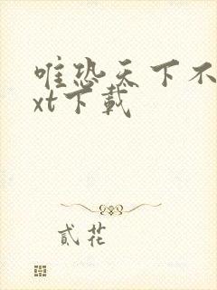 唯恐天下不乱txt下载