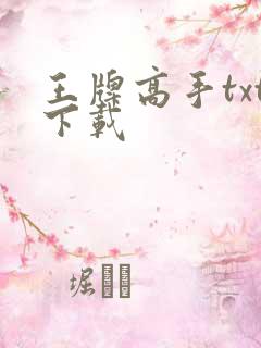 王牌高手txt下载