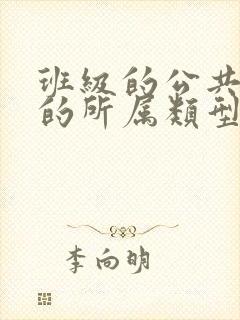 班级的公共小0的所属类型