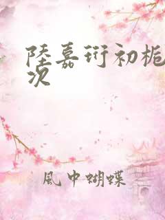 陆嘉珩初栀第一次