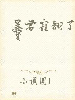 暴君宠翻了小娇宝