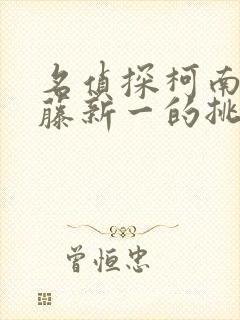 名侦探柯南给工藤新一的挑战书