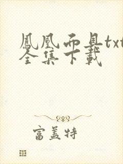 凤凰面具txt全集下载