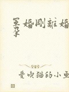 军婚刚离婚就怀孕