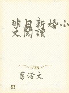 明日新婚小说全文阅读
