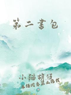 第二书包